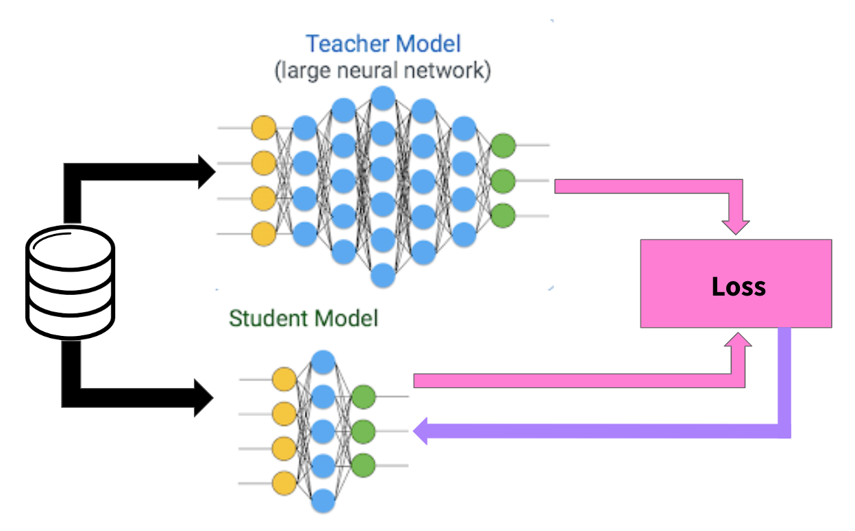 Knowledge Distillation